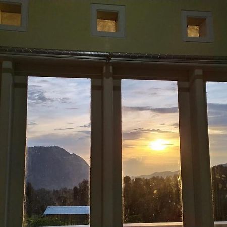 Bromo Otix Guest House Εξωτερικό φωτογραφία