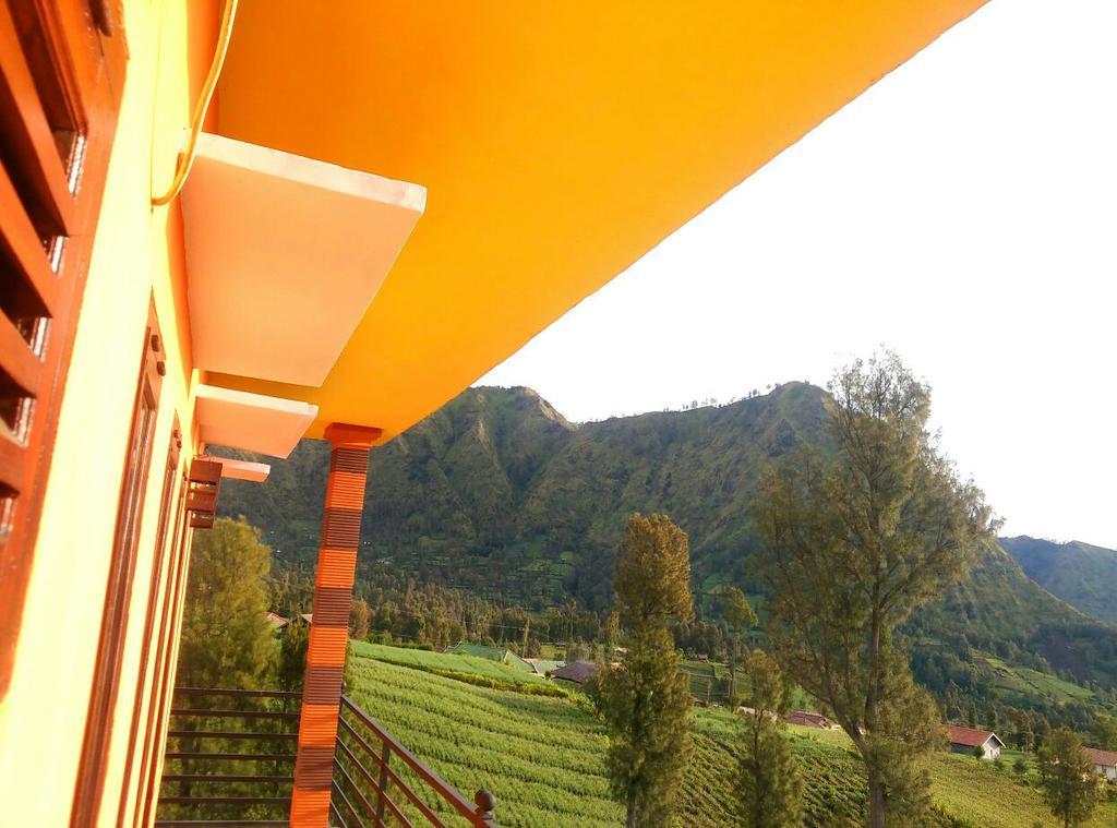 Bromo Otix Guest House Εξωτερικό φωτογραφία