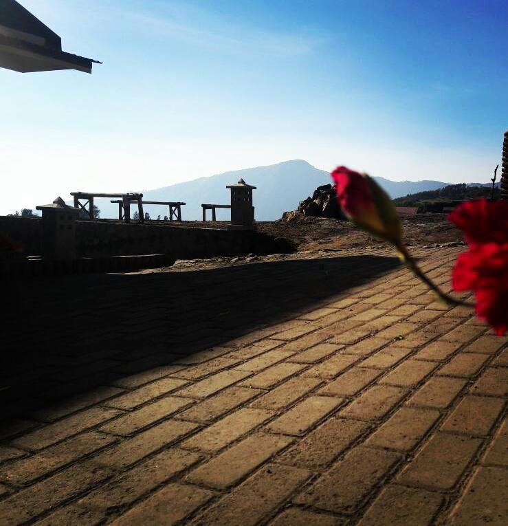 Bromo Otix Guest House Εξωτερικό φωτογραφία
