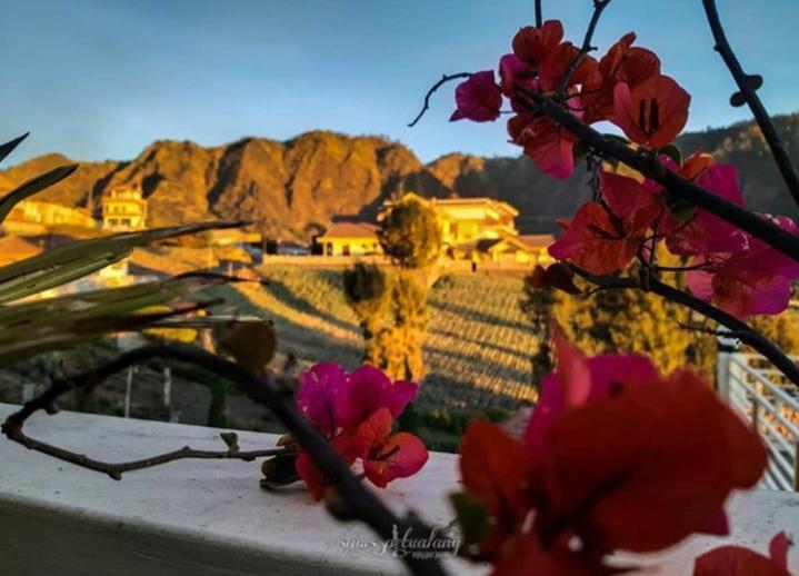 Bromo Otix Guest House Εξωτερικό φωτογραφία